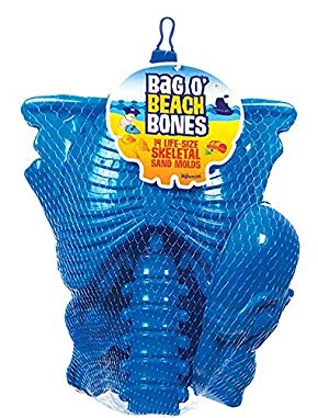 Toysmith Get Outside GO! Bag O' Beach Bones Playset