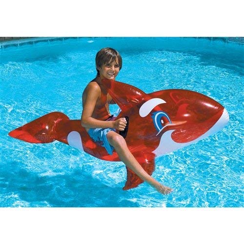 Swimline 90452 72 in. Orca Whale Ride On